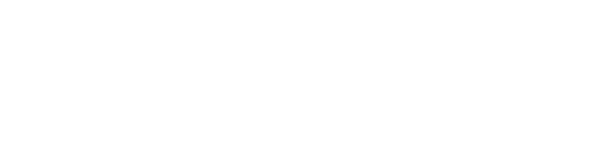 divine-nipples-logo